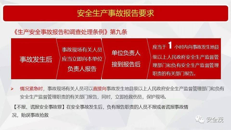 新奥门资料大全正版资料2025年免费下载|全面释义解释落实